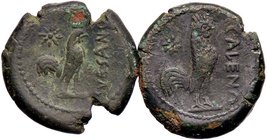 GRECHE - CAMPANIA - Cales - AE 18 - Testa di Atena a s. /R Gallo a d ; a s., una stella AE Lotto di 2 monete con leggenda diversa
MB÷BB