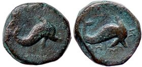 GRECHE - APULIA - Salapia - AE 15 - Delfino a d. /R Delfino a d. S. Cop. manca; Mont. 1112 (AE g. 3,81)
BB