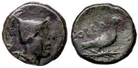GRECHE - CALABRIA - Hyria - Quinconcia - Testa di guerriero a d. /R Aquila su fulmine stante a d. Mont. 1175; S. Ans. 817 (AE g. 3,77)
qBB
