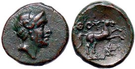 GRECHE - LUCANIA - Thurium - AE 13 - Testa di Apollo a d. /R Cavallo al galoppo verso d. Mont. 2890; S. Ans. 1201 (AE g. 2,58)
qSPL