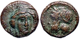 GRECHE - SICILIA - Gela - Tetras - Testa di Demetra di fronte /R Testa barbuta del dio fiume Gela a s. Mont. 4227; S. Ans. 123 (AE g. 2,44)
BB