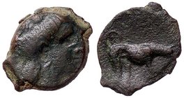 GRECHE - SICILIA - Segesta - Oncia - Testa di ninfa a d. /R Segugio a d. Mont. 4699; S. Ans. 658 (AE g. 3,53)
BB