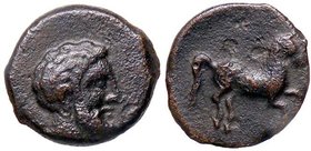 GRECHE - SICILIA - Solunto - AE 14 - Testa barbuta a d. /R Cavallo a d. Mont. 4759; S. Ans. 744 (AE g. 1,93)
bel BB