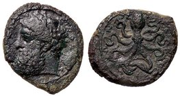 GRECHE - SICILIA - Siracusa - Prima di Timoleone (367-344 a.C.) - Emilitra - Testa di Zeus a s. /R Polipo (AE g. 3,22)
qBB