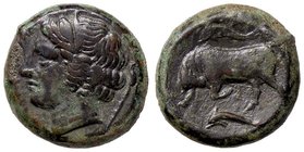 GRECHE - SICILIA - Siracusa - Agatocle (317-289 a.C.) - AE 22 - Testa di Persefone a s. /R Toro cozzante a s. sotto e sopra un delfino Mont. 5119; S. ...