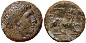 GRECHE - SICILIA - Siracusa - Agatocle (317-289 a.C.) - AE 22 - Testa di Eracle a d. /R Leone di corsa a d.; sopra, una clava Mont. 5193; S. Ans. 74 (...