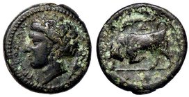 GRECHE - SICILIA - Siracusa - Gerone II (274-216 a.C.) - AE 17 - Testa di Kore a s. /R Toro cozzante a s.; sopra, una clava Mont. 5314 (AE g. 3,33)
B...