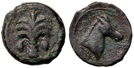 GRECHE - SICILIA - Siculo-Puniche - AE 19 - Protome di cavallo a d. /R Palmizio Mont. 5570 (AE g. 5,86)
BB+