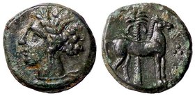 GRECHE - SICILIA - Siculo-Puniche - AE 17 - Testa di Persefone a s. /R Cavallo stante a d.; dietro, palmizio Mont. 5543; S. Cop. 1002 (AE g. 2,45)
BB...