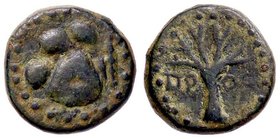 GRECHE - PISIDIA - Prostanna - AE 14 - Monte Viaros /R Albero S. France 1706 R (AE g. 3,79)
bel BB