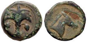 GRECHE - ZEUGITANA - Cartagine - AE 18 - Palmizio /R Protome di cavallo a d. Sear 6531 (AE g. 6,85)
BB