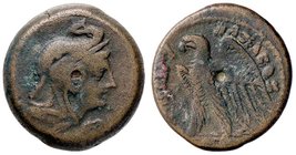 GRECHE - RE TOLEMAICI - Tolomeo VI, Filometore (180-145 a.C.) - AE 21 - Testa a d. con pelle d'elefante /R Aquila stante a s. e monogramma nel campo S...