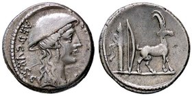 ROMANE REPUBBLICANE - PLANCIA - Cn. Plancius (55 a.C.) - Denario - Testa di Diana Planciana a d. /R Capra cretese verso d.; dietro, arco e faretra B. ...