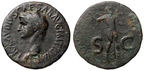 ROMANE IMPERIALI - Claudio (41-54) - Asse - Testa a s. /R Pallade andante a d. con lancia e scudo C. 84 (AE g. 9,42)
qBB/MB+