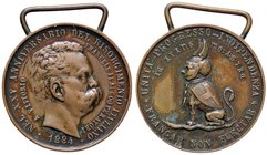 MEDAGLIE - SAVOIA - Umberto I (1878-1900) - Medaglia 1884 - XXV Anniversario del risorgimento AE Ø 33
BB