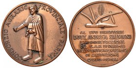 MEDAGLIE - CITTA' - Parma - Medaglia 1959 - Consorzio Agrario Provinciale - Parma - Statua a s. /R Scritta sormontata da aratro su spiga AE dorato Opu...