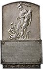 MEDAGLIE - CITTA' - Pistoia - Placchetta uniface 1898 - Ai caduti MA mm 96x60
SPL