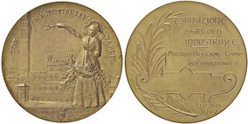 MEDAGLIE - CITTA' - Siena - Medaglia 1907 - Esposizione agricola industriale MD Ø 60 In confezione
FDC