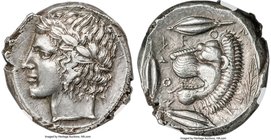 SICILY. Leontini. Ca. 450-420 BC. AR tetradrachm (24mm, 17.20 gm, 1h). NGC AU 4/5 - 4/5. Laureate head of Apollo left / LE-O-N-TI-N-ON, lion's head le...