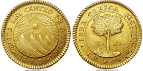 Central American Republic gold 2 Escudos 1835 CR-F AU55 NGC, San Jose mint, KM15, Fr-3. An exceptional example of this scarce and popular issue. The s...