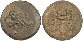 INDO-GREEK: Demetrios I, ca. 200-190 BC, AE triple unit (10.83g), Bop-5A, head of elephant right with raised trunk, wearing bell // large caduceus; mo...