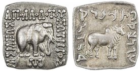 INDO-GREEK: Apollodotus I, ca. 180-160 BC, AR square drachm (2.44g), Bop-4Fvar, elephant // humped bull, without the reverse monogram, pleasant toning...