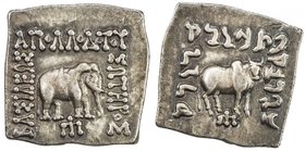 INDO-GREEK: Apollodotus I, ca. 180-160 BC, AR square drachm (2.42g), Bop-4G, elephant // humped bull, EF, ex Jerry D. Williams Collection. 

 Estima...