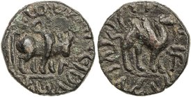 KUSHAN: Kujula Kadphises, ca. 30-80 AD, AE fraction (3.85g), Mitch-2895/96, humped bull // camel, excellent strike for this type, choice VF, R. 

 E...
