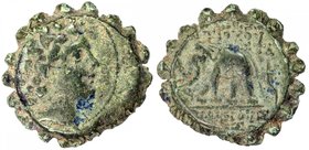 SELEUKID KINGDOM: Antiochos VI Dionysos, 145-142 BC, AE serrated 22mm (7.75g), Houghton-248, head of Antiochos as Dionysos, radiate // elephant walkin...