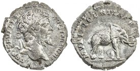 ROMAN EMPIRE: Septimius Severus, 193-211 AD, AR denarius (3.04g), Rome (197), S-6317, MVNIFICENTIA AVG, elephant walking right, slightly off-center st...