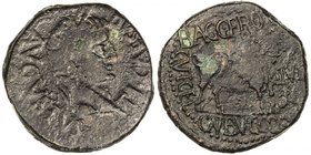 SPAIN: Tiberius, AD 14-37, AE 27mm (14.07g), Celsa, Hispania, ACIP-3170; RPC-279, TI. CAESAR AVGVSTVS, laureate head of Tiberius right // BAGG FRONT I...