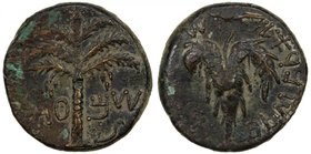 ANCIENT JUDEA: Bar Kochba Revolt, 132-135, AE 25 (11.59g), year 2 (=133/4 AD), Mildenberg-91, "Simon" on Paleo-Hebrew across fields; seven-branched pa...
