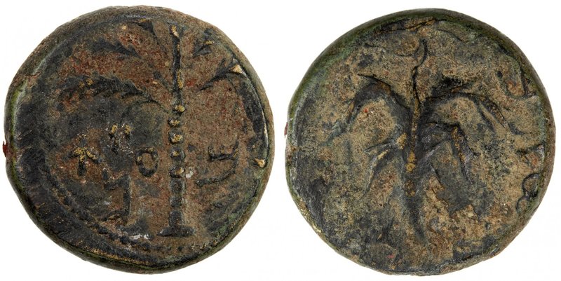 ANCIENT JUDEA: Bar Kochba Revolt, 132-135, AE 23 (14.16g), year 2 (=133/4 AD), M...