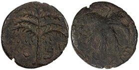 ANCIENT JUDEA: Bar Kochba Revolt, 132-135, AE 24 (8.43g), year 3 (=134/5 AD), Meshorer-211, "Simon" on Paleo-Hebrew across fields; seven-branched palm...