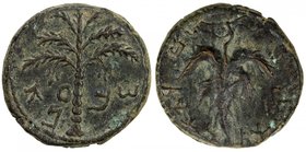 ANCIENT JUDEA: Bar Kochba Revolt, 132-135, AE 25 (13.89g), BMC-24, "Simon" on Paleo-Hebrew across fields; seven-branched palm tree with two bunches of...