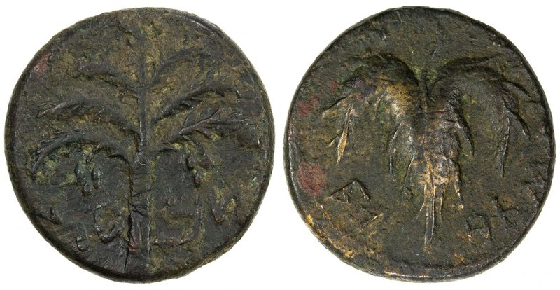 ANCIENT JUDEA: Bar Kochba Revolt, 132-135, AE 23 (10.41g), "Simon" on Paleo-Hebr...