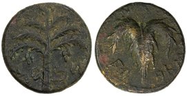 ANCIENT JUDEA: Bar Kochba Revolt, 132-135, AE 23 (10.41g), "Simon" on Paleo-Hebrew across fields; seven-branched palm tree with two bunches of dates /...