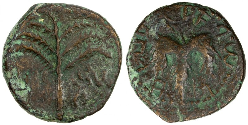 ANCIENT JUDEA: Bar Kochba Revolt, 132-135, AE 25 (11.71g), "Simon" on Paleo-Hebr...