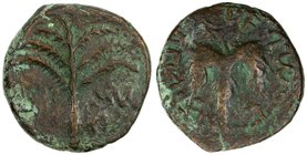 ANCIENT JUDEA: Bar Kochba Revolt, 132-135, AE 25 (11.71g), "Simon" on Paleo-Hebrew across fields; seven-branched palm tree with two bunches of dates /...