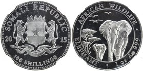 SOMALIA: Republic, AR 100 shillings, 2015, KM-—, one troy ounce pure silver, Wildlife - African Elephant, mule struck with reverse die for gold, with ...