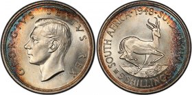 SOUTH AFRICA: George VI, 1936-1952, AR 5 shillings, 1948, KM-40.1, beautiful multicolored peripheral toning, mintage of only 1,000 pieces, PCGS graded...