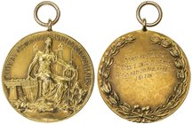 UNITED STATES: AV medal (21.79g), 1918, AU, 35mm, 14K gold medal, NATIONAL ASSOCIATION OF AMATEUR BILLIARD PLAYERS around seated figure holding Americ...