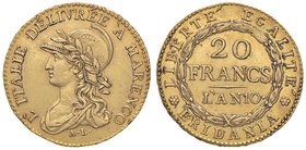 TORINO Repubblica Subalpina (1800-1802) 20 Franchi A. 10 ‘A Marenco – Gig. 2a AU (g 6,41) RR Esemplare di ottima qualità per il tipo di moneta

SPL+...