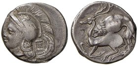 LUCANIA Velia Didramma (circa 280 a.C.) Testa elmata di Atena a s. - R/ Leone che azzanna un cervo – HN Italy 1318 AG (g 7,31)

BB