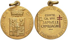 Medaglia della Provincia di Milano a Samuele Cambiaghi – AU (g 10,10 – Ø 26 mm)

SPL