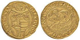 Alessandro VI (1492-1503) Ancona - Fiorino di camera – Munt. 21 AU (g 3,38) RRR

BB+