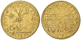 Pio VI (1774-1799) Bologna – 2 Doppie 1787 A. XIII – Munt. 168 AU (g 10,93) RR Minime screpolature di conio e una piccola sfogliatura del metallo al D...
