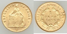 Republic gold Peso 1873 XF, Santiago mint, KM140. 14.2mm. 1.55gm. AGW 0.0440 oz. 

HID09801242017