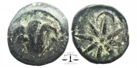PONTOS. Amisos. Ae (130-100 BC).
Obv: Rose bud.
Rev: Star between two crescents.
SNG BM Black Sea 981 f. 6,40 gr. 20mm