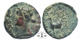 Kings of Cappadocia, Æ17, Ariarathes IV. Eusebeia
Tyana, circa 220-163 BC. Draped bust of Artemis to left, quiver over shoulder / ΒΑΣΙΛΕΩΣ - [ΑΡΙΑΡΑΘ...